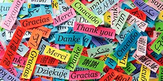 Centre for Foreign Languages