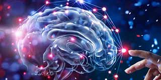 Department of Psychology