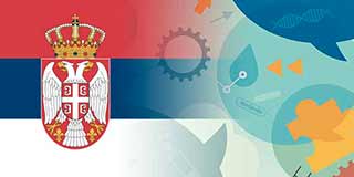 Department of Serbian Language and Literature